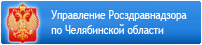 Управление Росздравнадзора по Челябинской области
