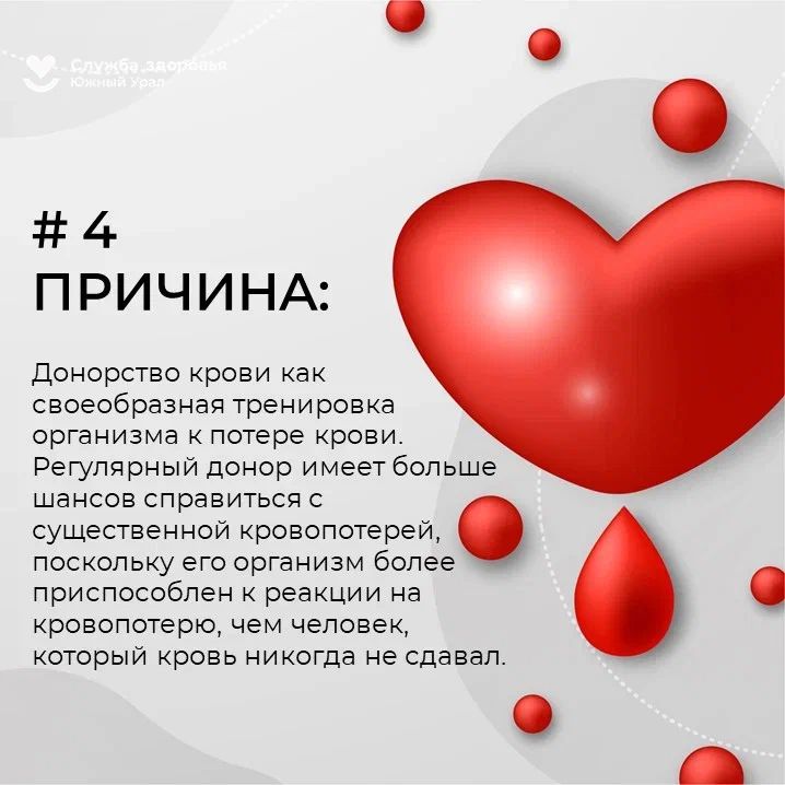 ���� ����� 5.jpg